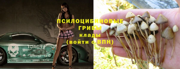 соль ск Корсаков